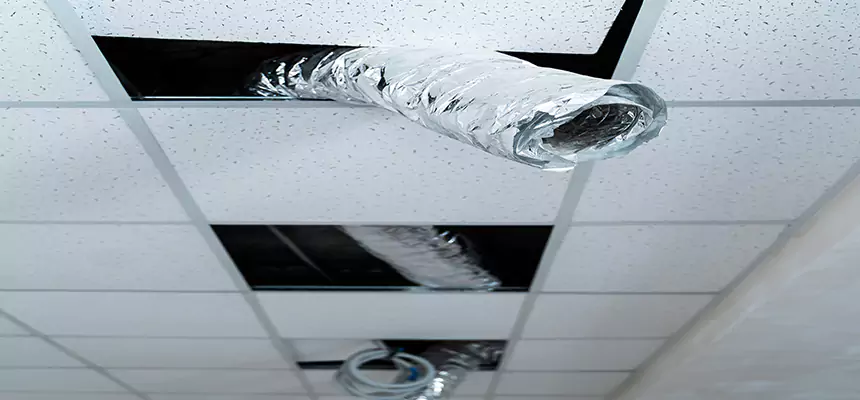 Affordable HVAC Sanitizing After Pest Removal in Paso Robles