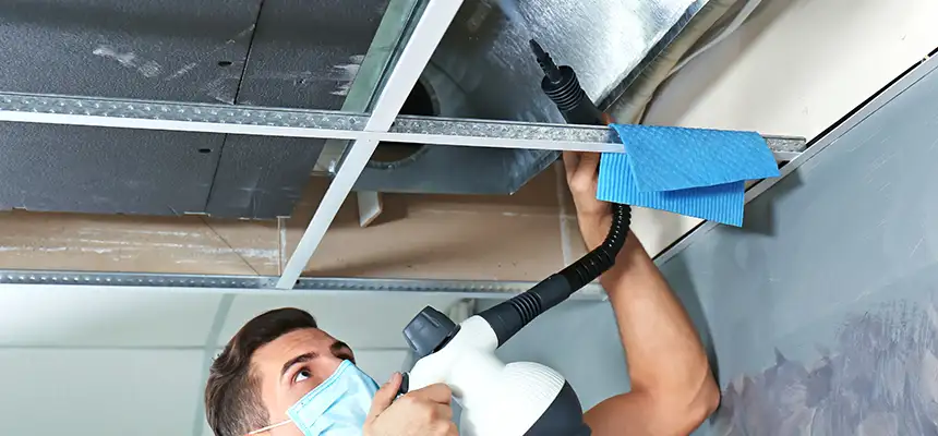 Our Air Duct Rodent Removal Services in Paso Robles, CA