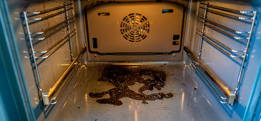 Our Dryer Vent Mold Cleaning Services in Paso Robles, CA