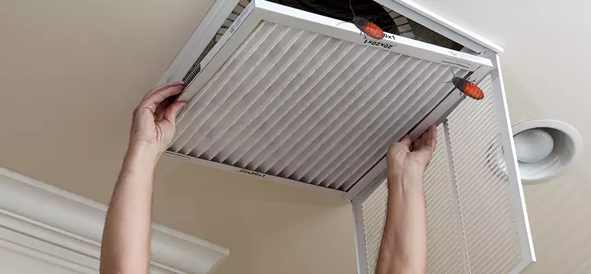 Our Insect Removal from Air Ducts Services in Paso Robles, CA
