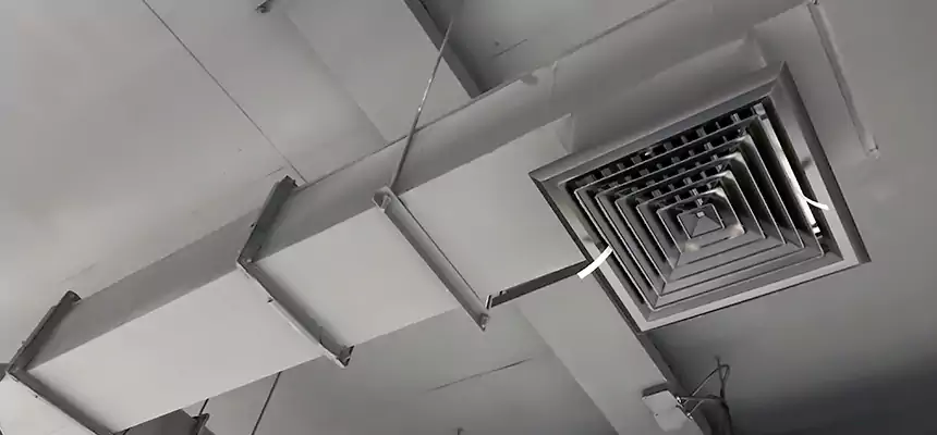 Our Rodent Droppings In Vents Services in Paso Robles, CA