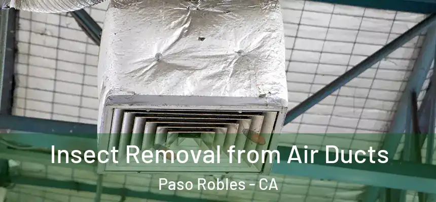 Insect Removal from Air Ducts Paso Robles - CA