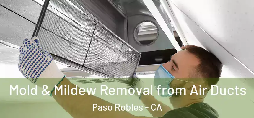 Mold & Mildew Removal from Air Ducts Paso Robles - CA