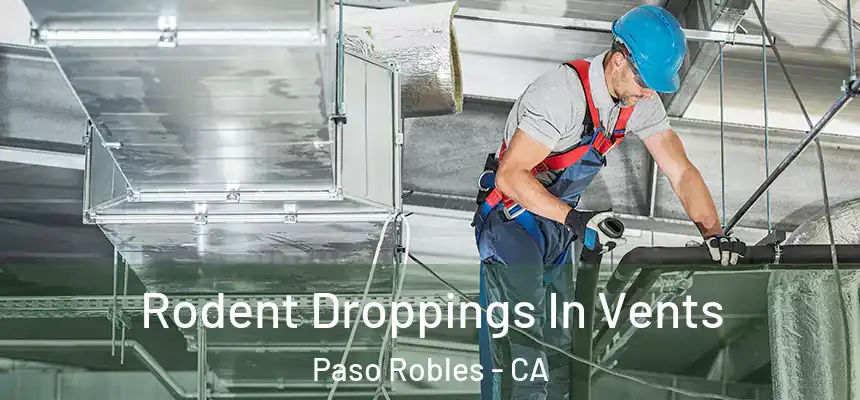 Rodent Droppings In Vents Paso Robles - CA