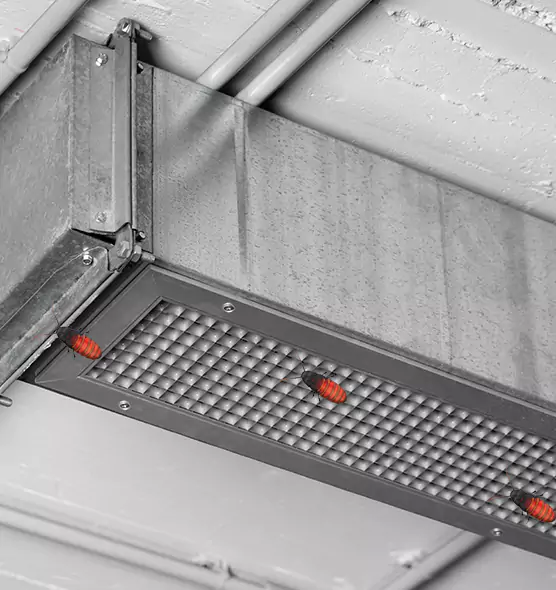 Affordable Insect Removal from Air Ducts in Paso Robles, CA