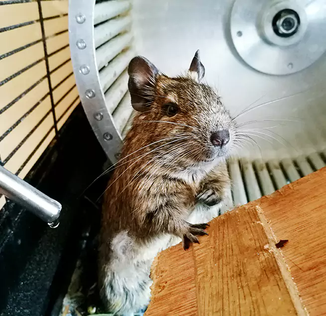 Why Homeowners & Businesses Trust Us Paso Robles, CA