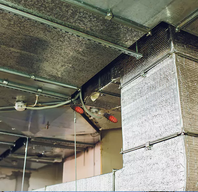 Why Homeowners & Businesses Trust Us Paso Robles, CA?